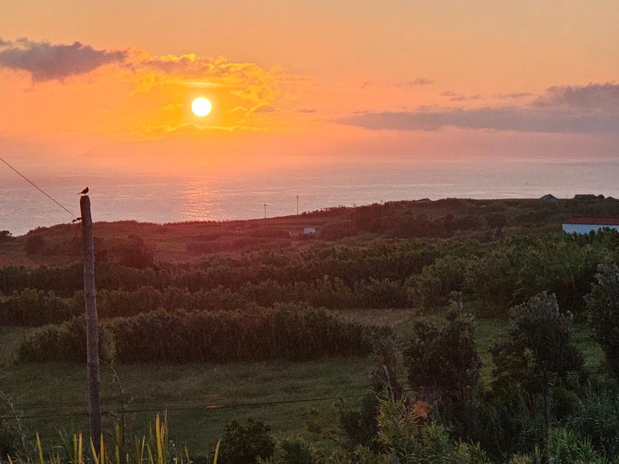 Casa Anjos Holiday Cottages Cedros Екстериор снимка