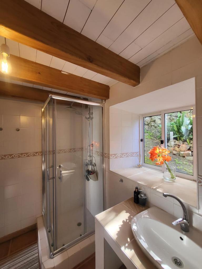 Casa Anjos Holiday Cottages Cedros Екстериор снимка