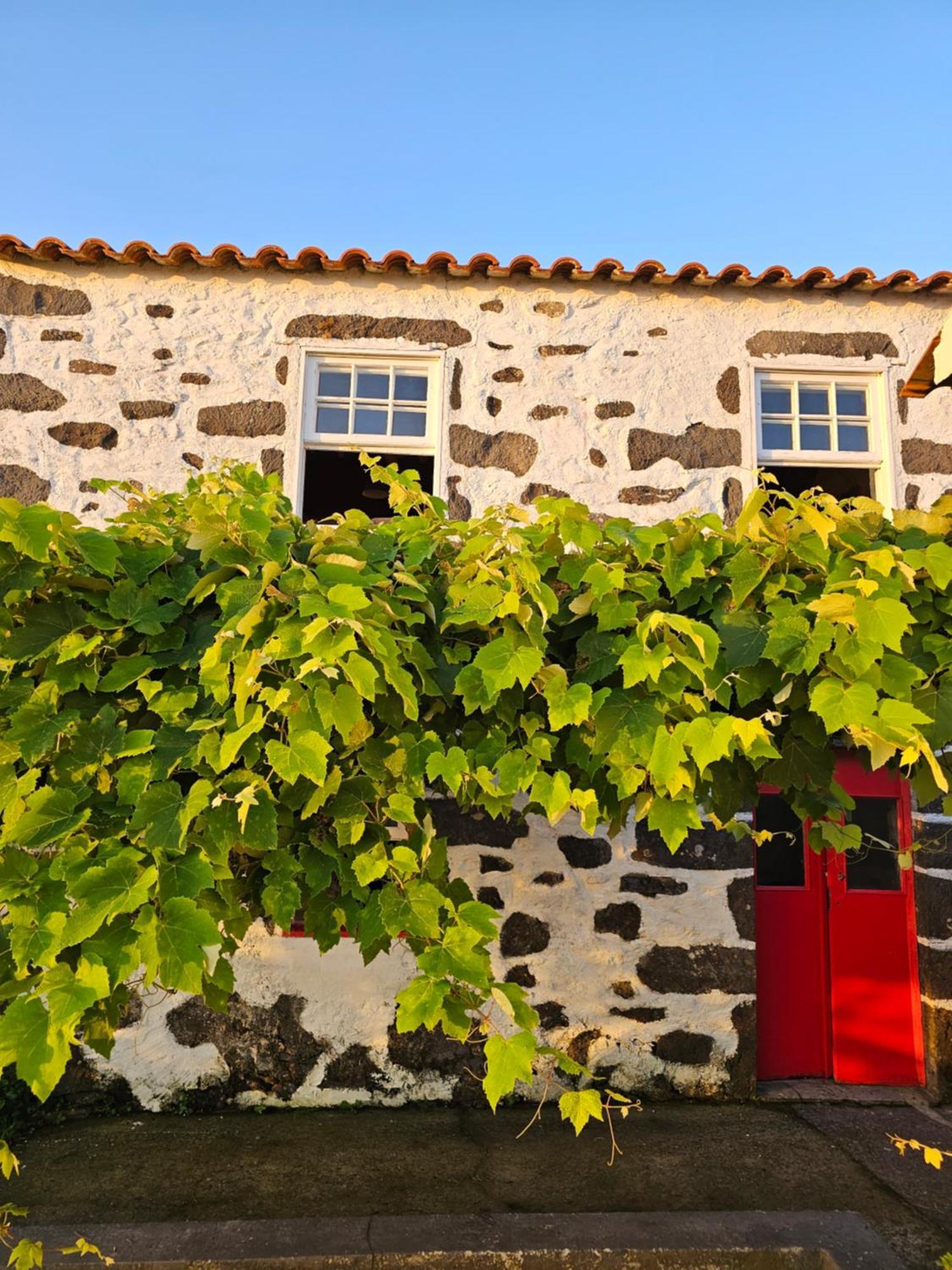 Casa Anjos Holiday Cottages Cedros Екстериор снимка