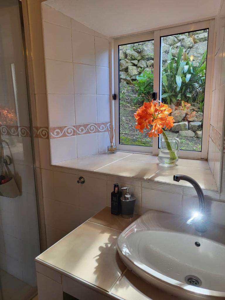 Casa Anjos Holiday Cottages Cedros Екстериор снимка
